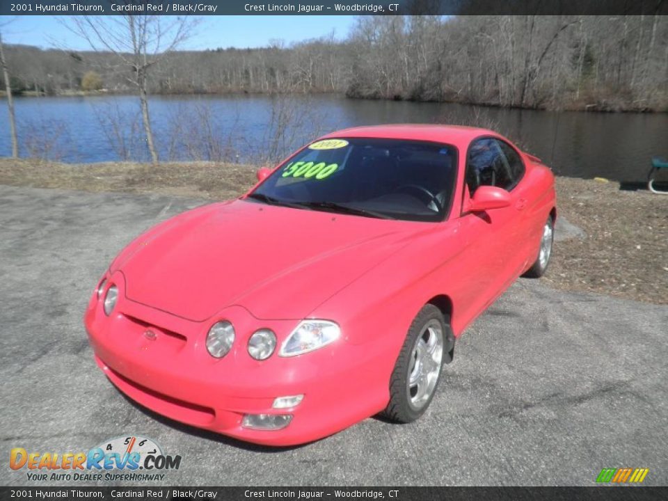 2001 Hyundai Tiburon Cardinal Red / Black/Gray Photo #1