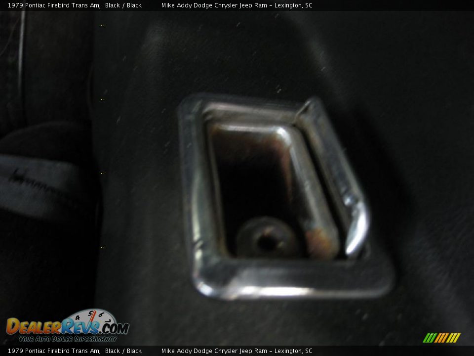 1979 Pontiac Firebird Trans Am Black / Black Photo #23