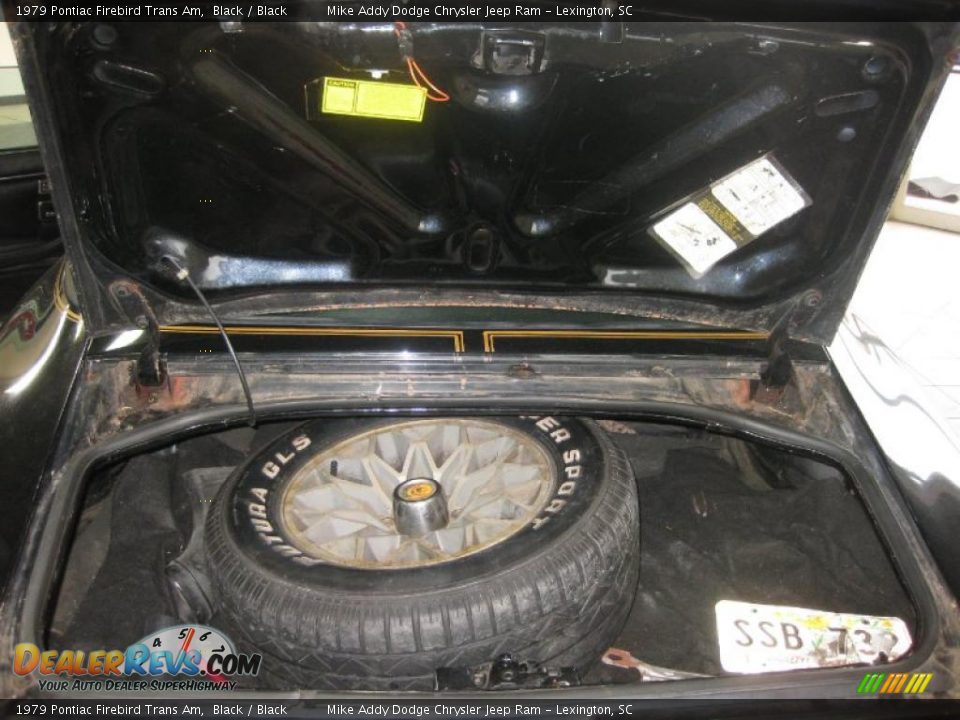 1979 Pontiac Firebird Trans Am Black / Black Photo #29