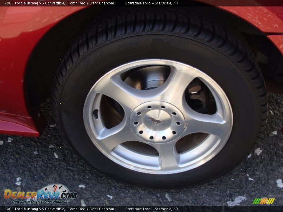 2003 Ford Mustang V6 Convertible Torch Red / Dark Charcoal Photo #8