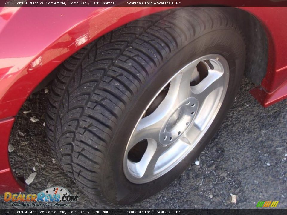 2003 Ford Mustang V6 Convertible Torch Red / Dark Charcoal Photo #9