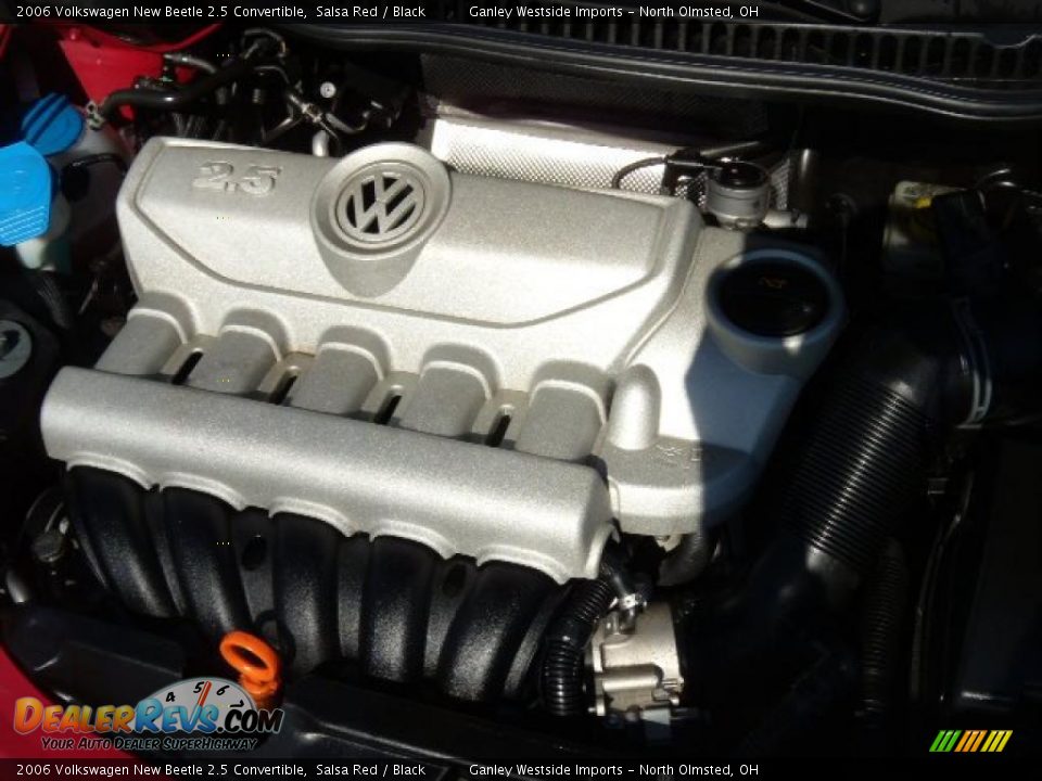 2006 Volkswagen New Beetle 2.5 Convertible Salsa Red / Black Photo #24