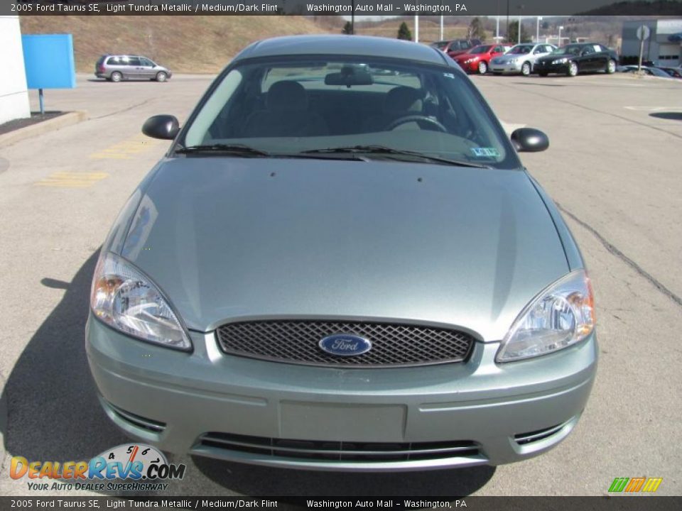 2005 Ford Taurus SE Light Tundra Metallic / Medium/Dark Flint Photo #10