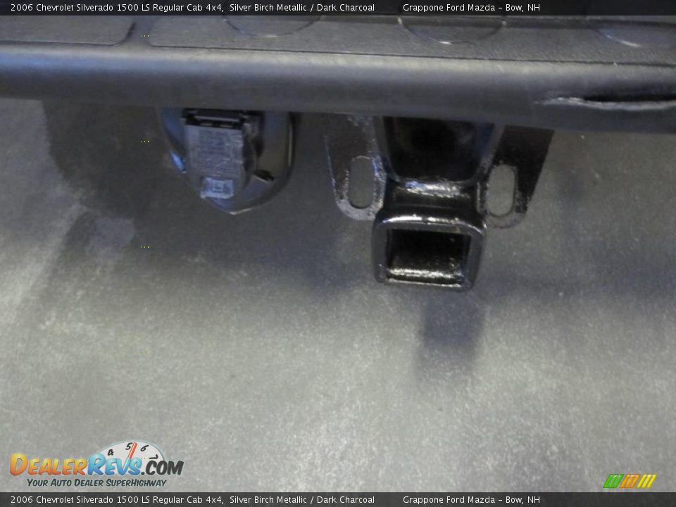 2006 Chevrolet Silverado 1500 LS Regular Cab 4x4 Silver Birch Metallic / Dark Charcoal Photo #3