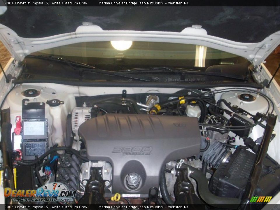 2004 Chevrolet Impala LS White / Medium Gray Photo #12