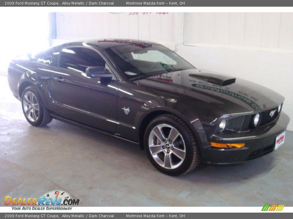 2009 Ford Mustang GT Coupe Alloy Metallic / Dark Charcoal Photo #5