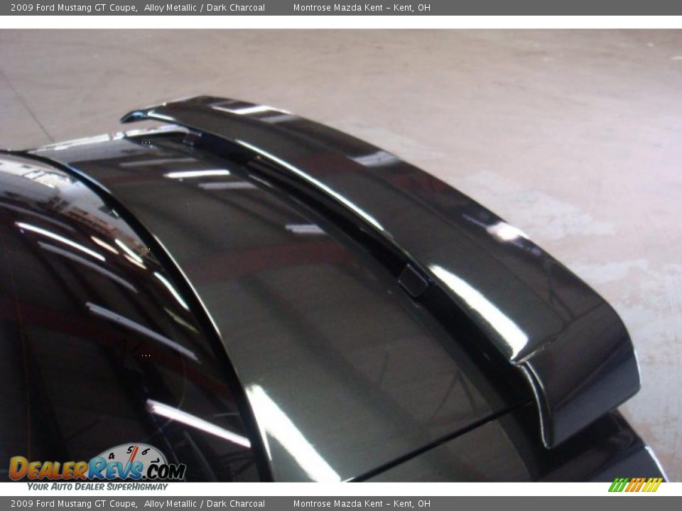 2009 Ford Mustang GT Coupe Alloy Metallic / Dark Charcoal Photo #19