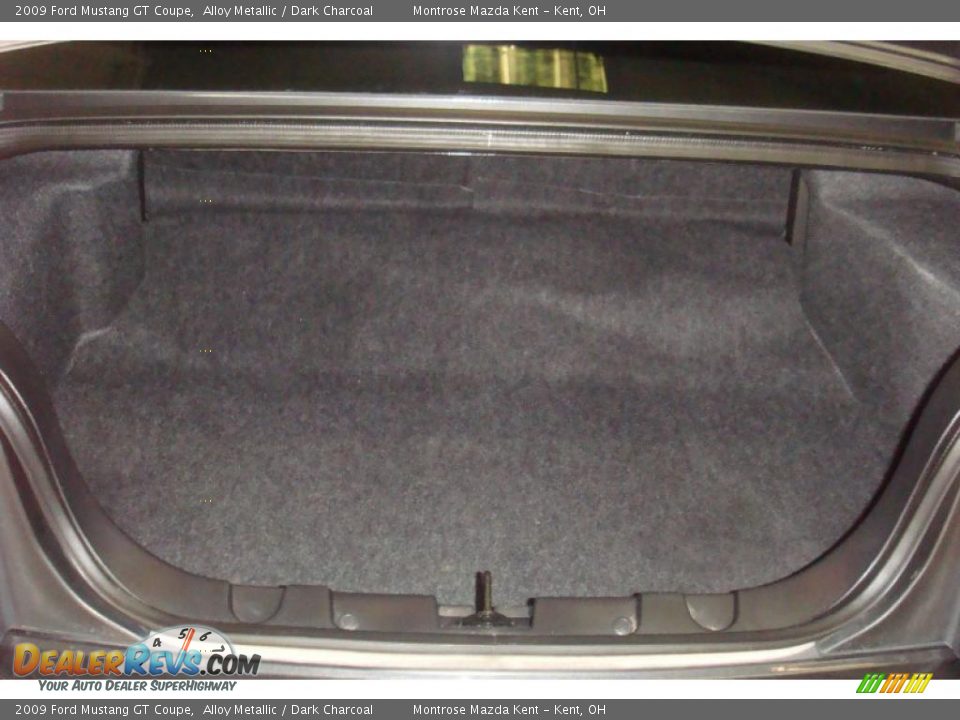 2009 Ford Mustang GT Coupe Alloy Metallic / Dark Charcoal Photo #22