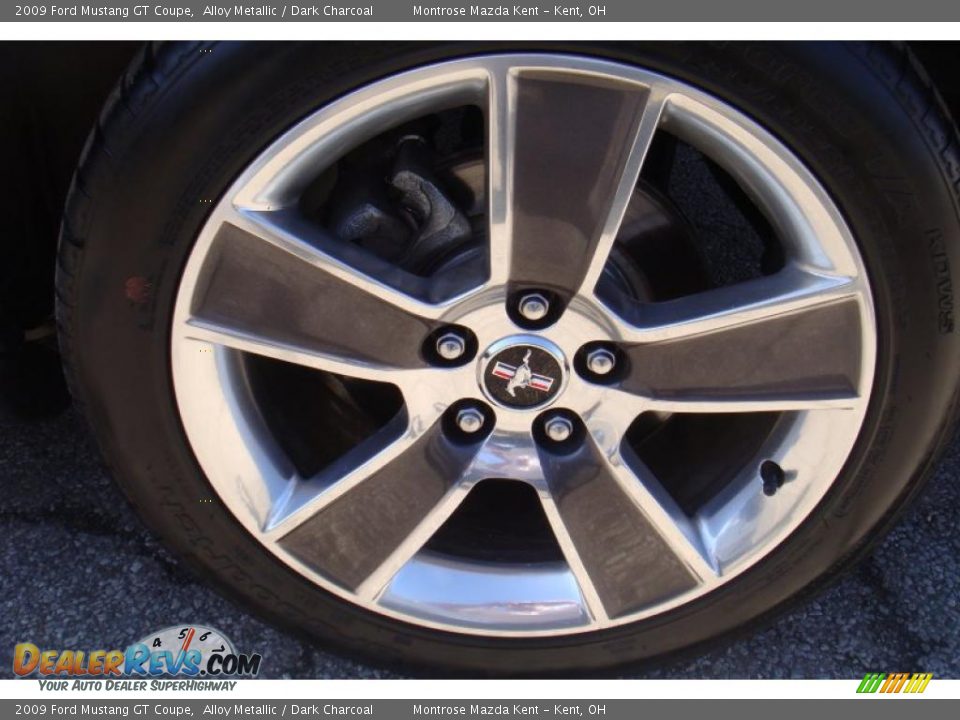 2009 Ford Mustang GT Coupe Alloy Metallic / Dark Charcoal Photo #24