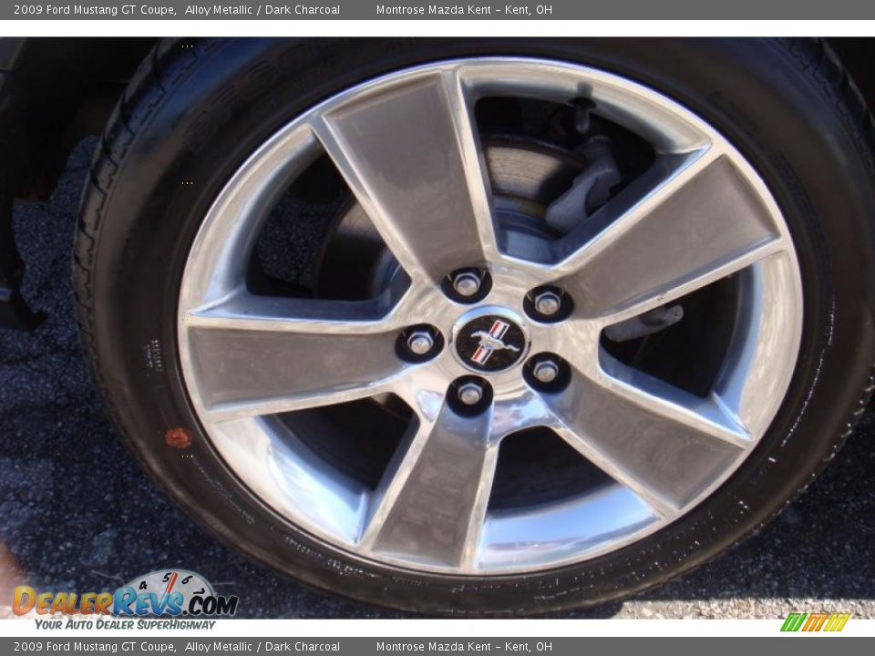 2009 Ford Mustang GT Coupe Alloy Metallic / Dark Charcoal Photo #25