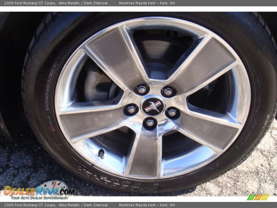 2009 Ford Mustang GT Coupe Alloy Metallic / Dark Charcoal Photo #26