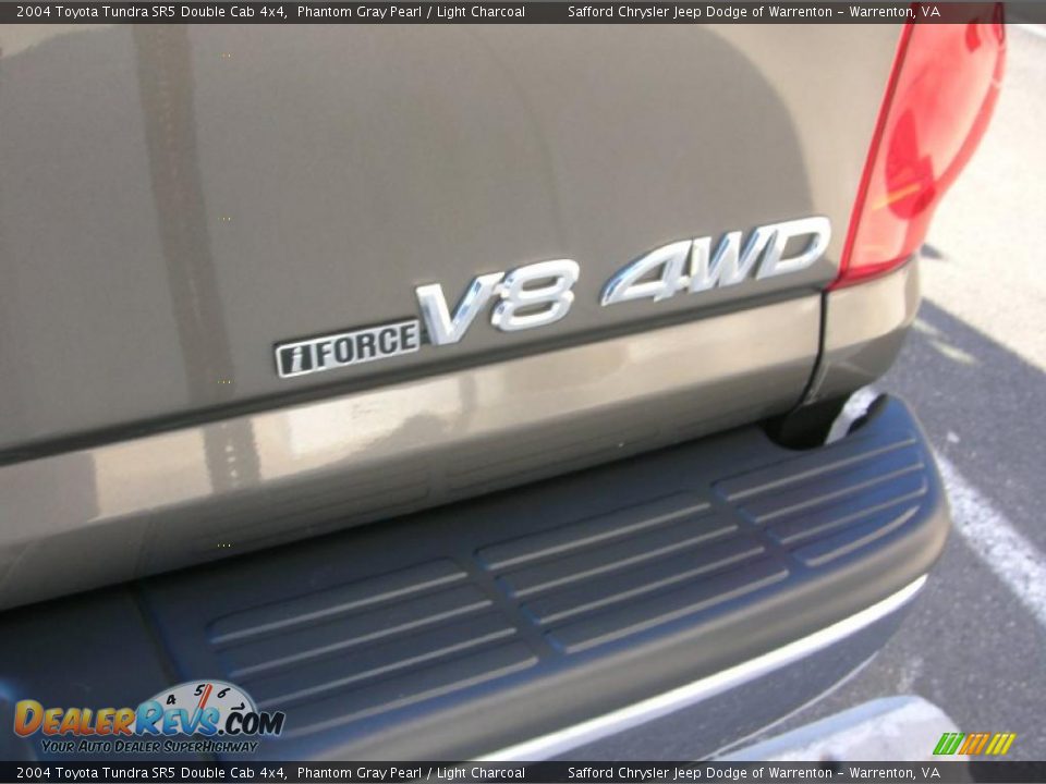 2004 Toyota Tundra SR5 Double Cab 4x4 Phantom Gray Pearl / Light Charcoal Photo #6