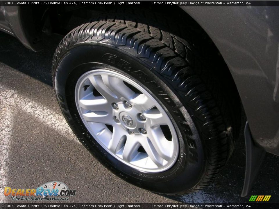 2004 Toyota Tundra SR5 Double Cab 4x4 Phantom Gray Pearl / Light Charcoal Photo #8