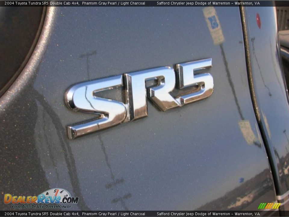 2004 Toyota Tundra SR5 Double Cab 4x4 Phantom Gray Pearl / Light Charcoal Photo #11