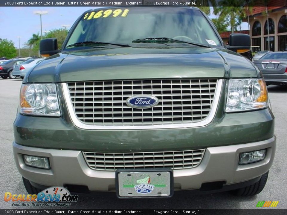 2003 Ford Expedition Eddie Bauer Estate Green Metallic / Medium Parchment Photo #10