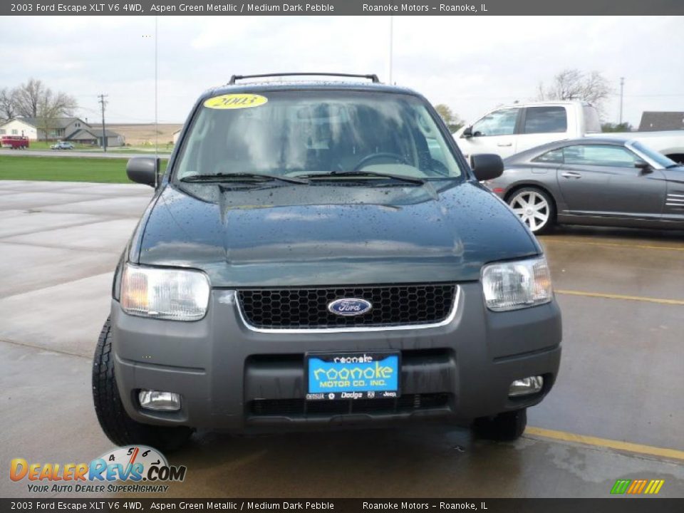 2003 Ford Escape XLT V6 4WD Aspen Green Metallic / Medium Dark Pebble Photo #3