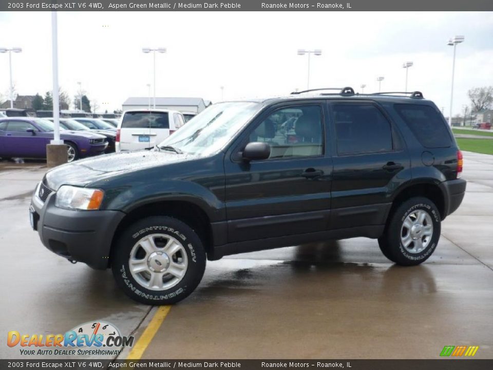 2003 Ford Escape XLT V6 4WD Aspen Green Metallic / Medium Dark Pebble Photo #6