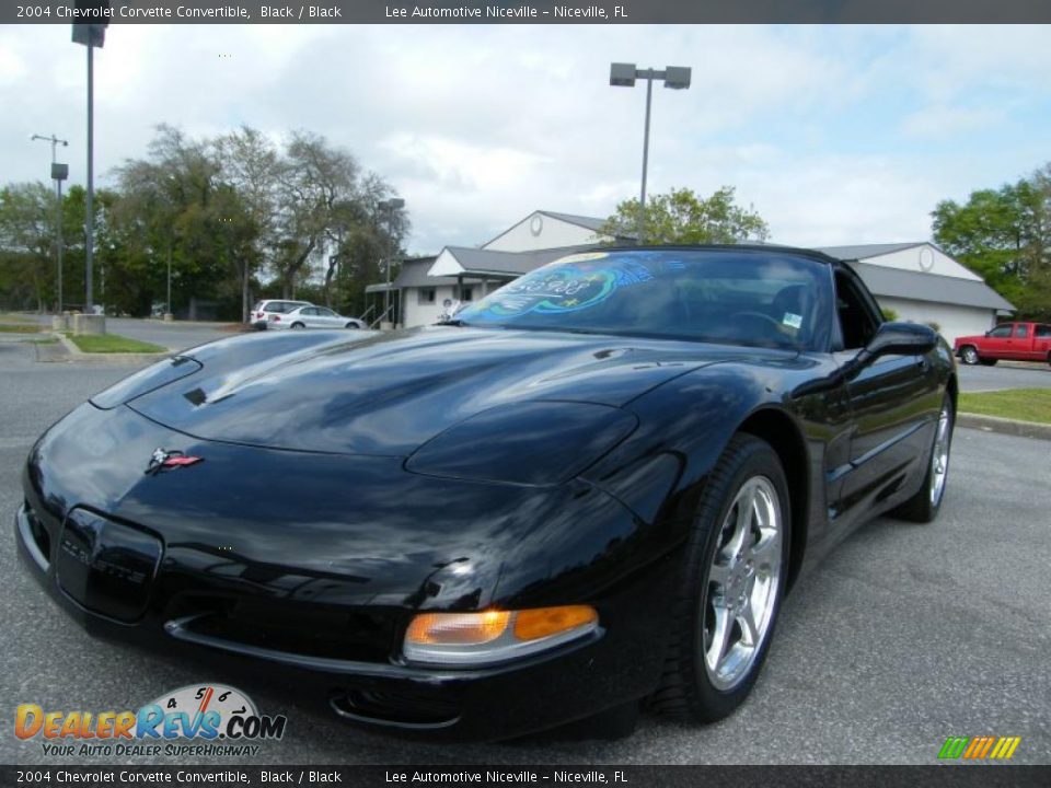 2004 Chevrolet Corvette Convertible Black / Black Photo #1