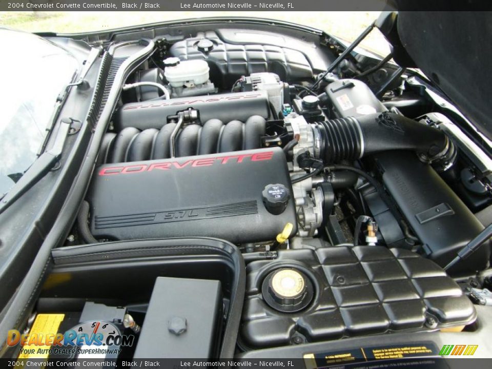 2004 Chevrolet Corvette Convertible Black / Black Photo #32