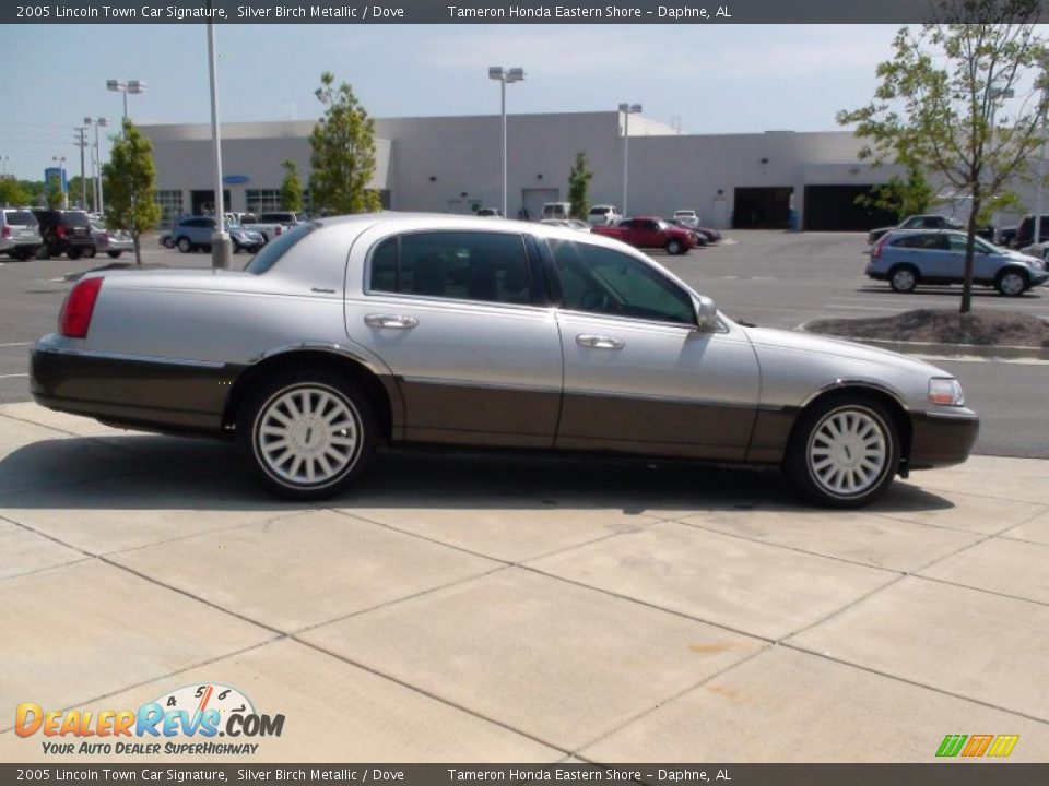 2005 Lincoln Town Car Signature Silver Birch Metallic / Dove Photo #5