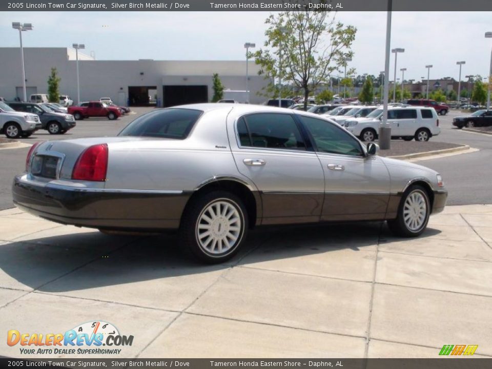2005 Lincoln Town Car Signature Silver Birch Metallic / Dove Photo #6