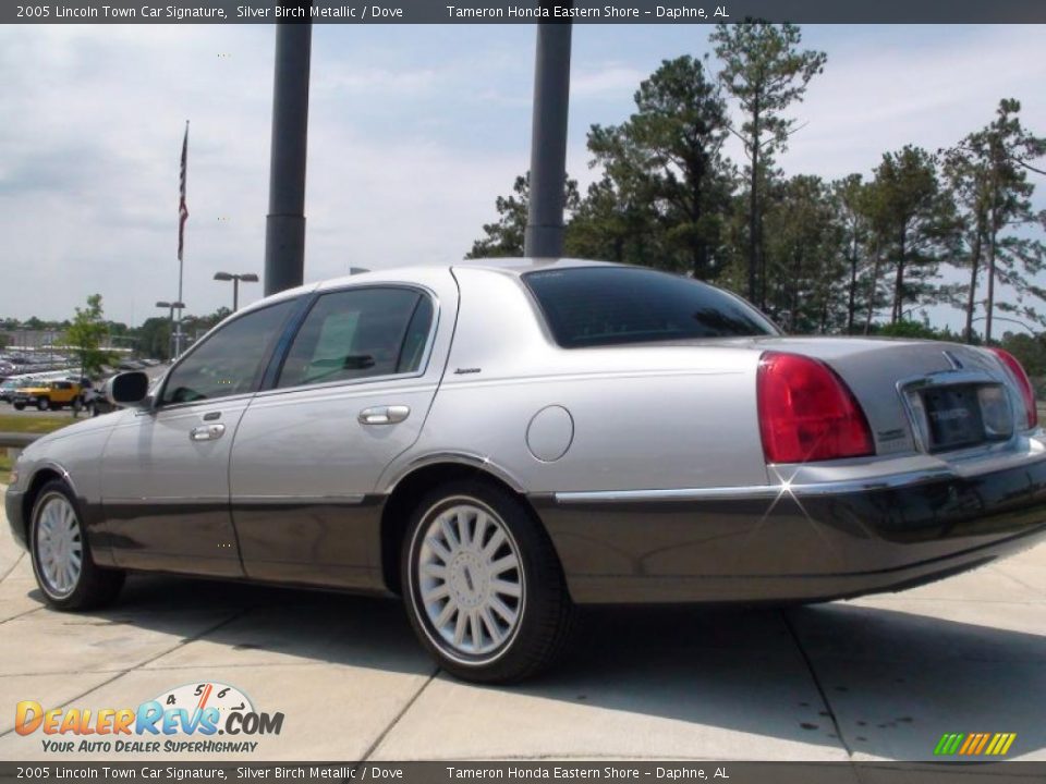 2005 Lincoln Town Car Signature Silver Birch Metallic / Dove Photo #9