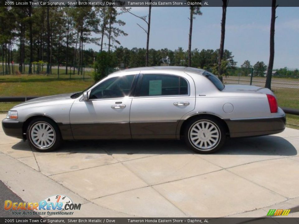 2005 Lincoln Town Car Signature Silver Birch Metallic / Dove Photo #10