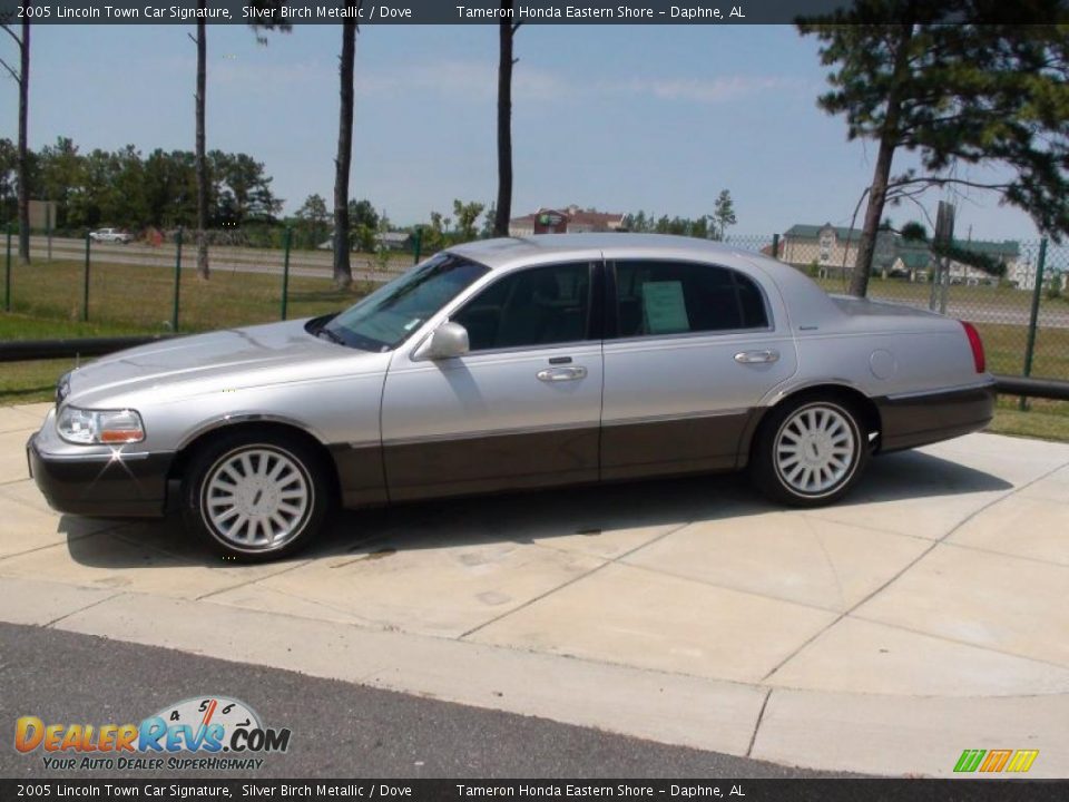 2005 Lincoln Town Car Signature Silver Birch Metallic / Dove Photo #11