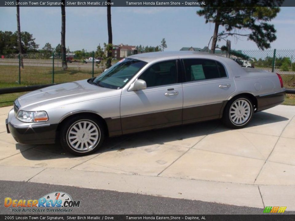 2005 Lincoln Town Car Signature Silver Birch Metallic / Dove Photo #12