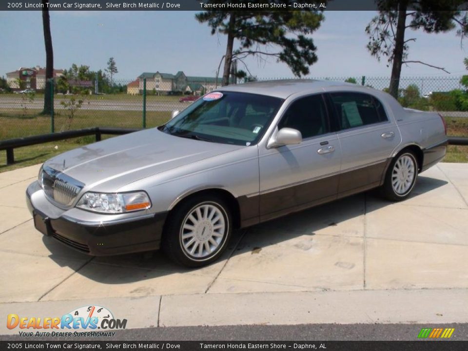2005 Lincoln Town Car Signature Silver Birch Metallic / Dove Photo #13