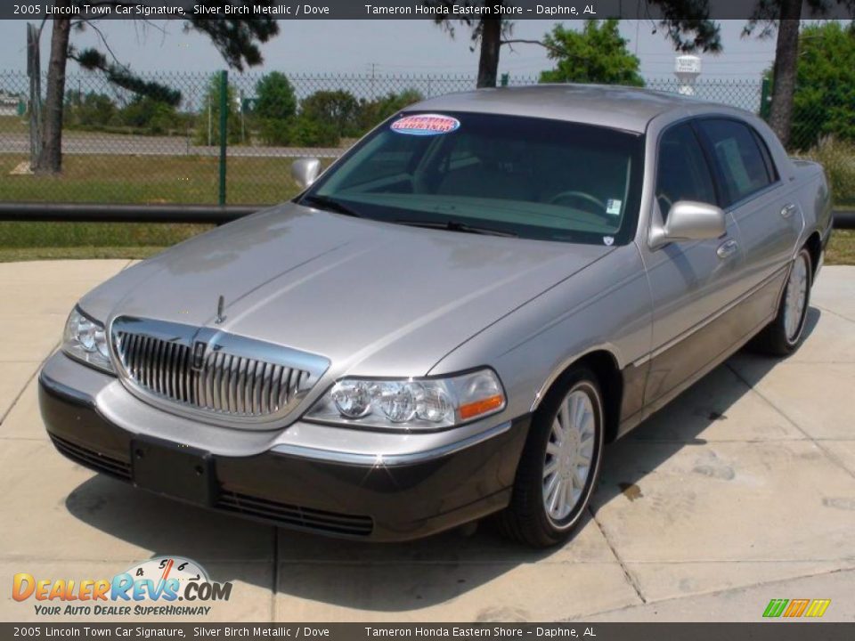 2005 Lincoln Town Car Signature Silver Birch Metallic / Dove Photo #14