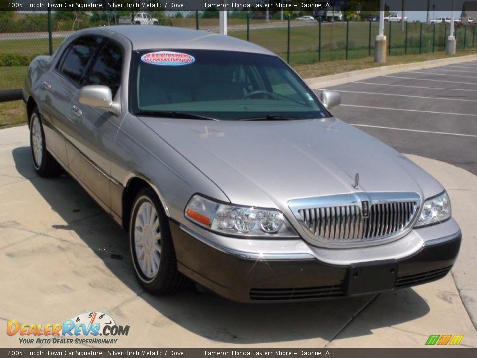 2005 Lincoln Town Car Signature Silver Birch Metallic / Dove Photo #15