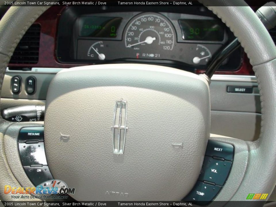 2005 Lincoln Town Car Signature Silver Birch Metallic / Dove Photo #19
