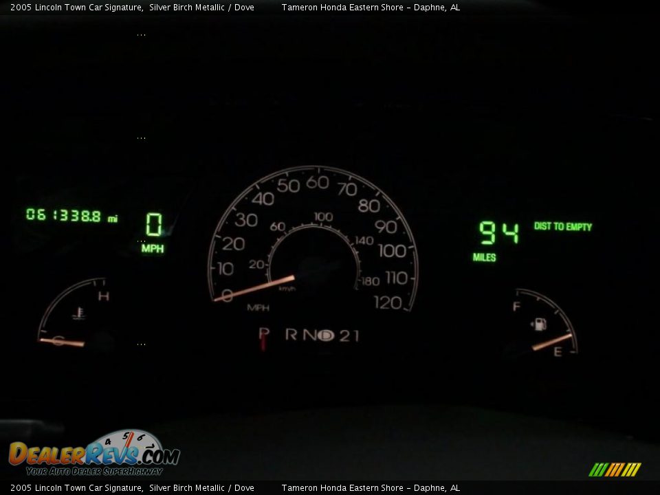 2005 Lincoln Town Car Signature Silver Birch Metallic / Dove Photo #20