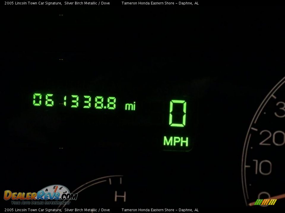 2005 Lincoln Town Car Signature Silver Birch Metallic / Dove Photo #21