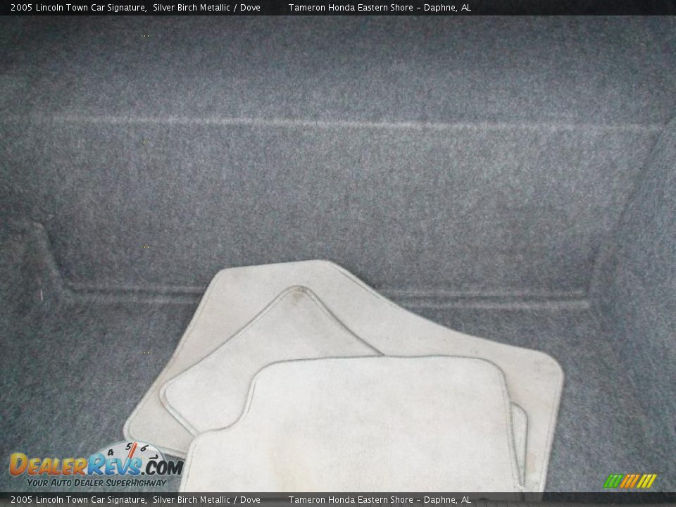 2005 Lincoln Town Car Signature Silver Birch Metallic / Dove Photo #35