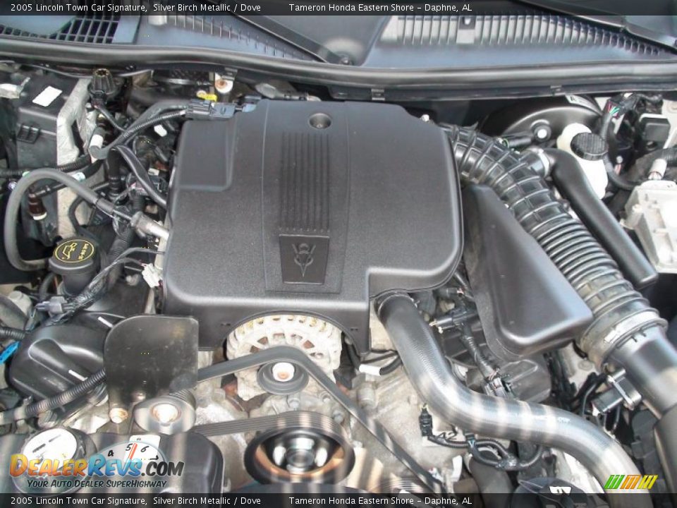 2005 Lincoln Town Car Signature Silver Birch Metallic / Dove Photo #36