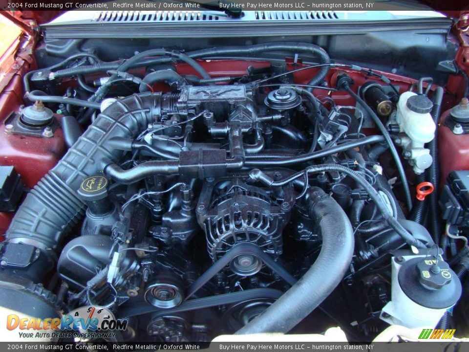 2004 Ford Mustang GT Convertible Redfire Metallic / Oxford White Photo #14