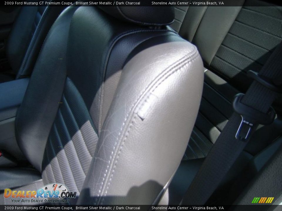 2009 Ford Mustang GT Premium Coupe Brilliant Silver Metallic / Dark Charcoal Photo #10
