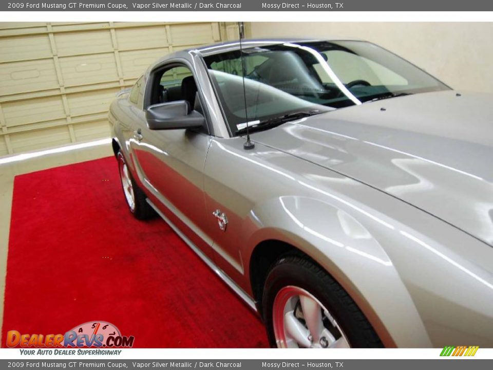 2009 Ford Mustang GT Premium Coupe Vapor Silver Metallic / Dark Charcoal Photo #10