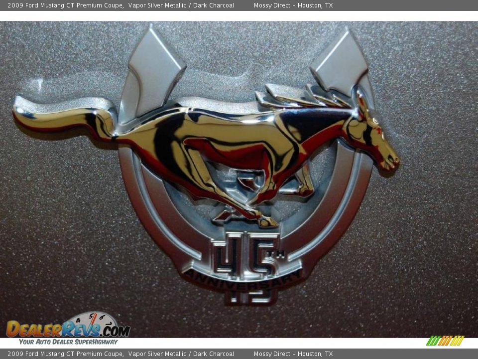 2009 Ford Mustang GT Premium Coupe Vapor Silver Metallic / Dark Charcoal Photo #11