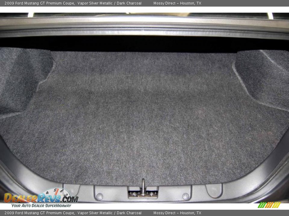 2009 Ford Mustang GT Premium Coupe Vapor Silver Metallic / Dark Charcoal Photo #17