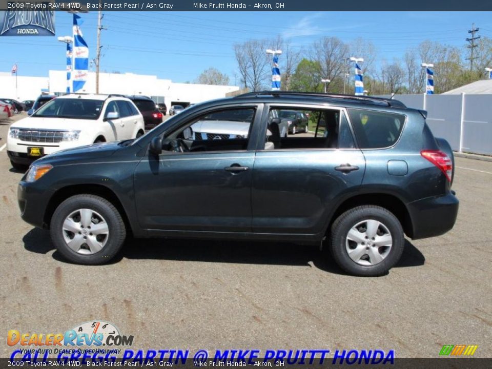 2009 toyota rav4 black forest pearl #7