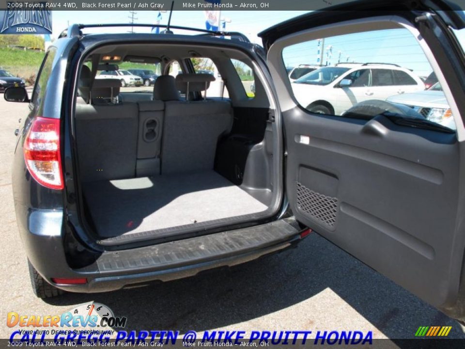 2009 Toyota RAV4 4WD Black Forest Pearl / Ash Gray Photo #9