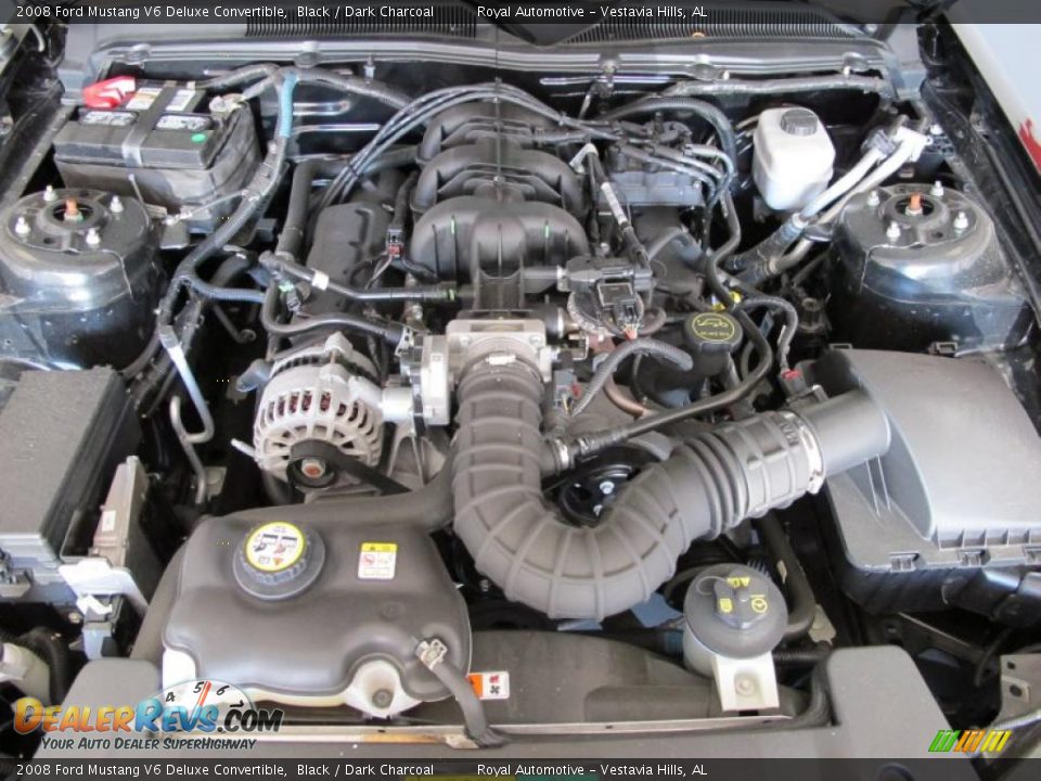 2008 Ford Mustang V6 Deluxe Convertible Black / Dark Charcoal Photo #24