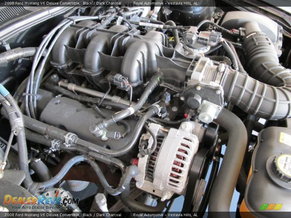 2008 Ford Mustang V6 Deluxe Convertible Black / Dark Charcoal Photo #26