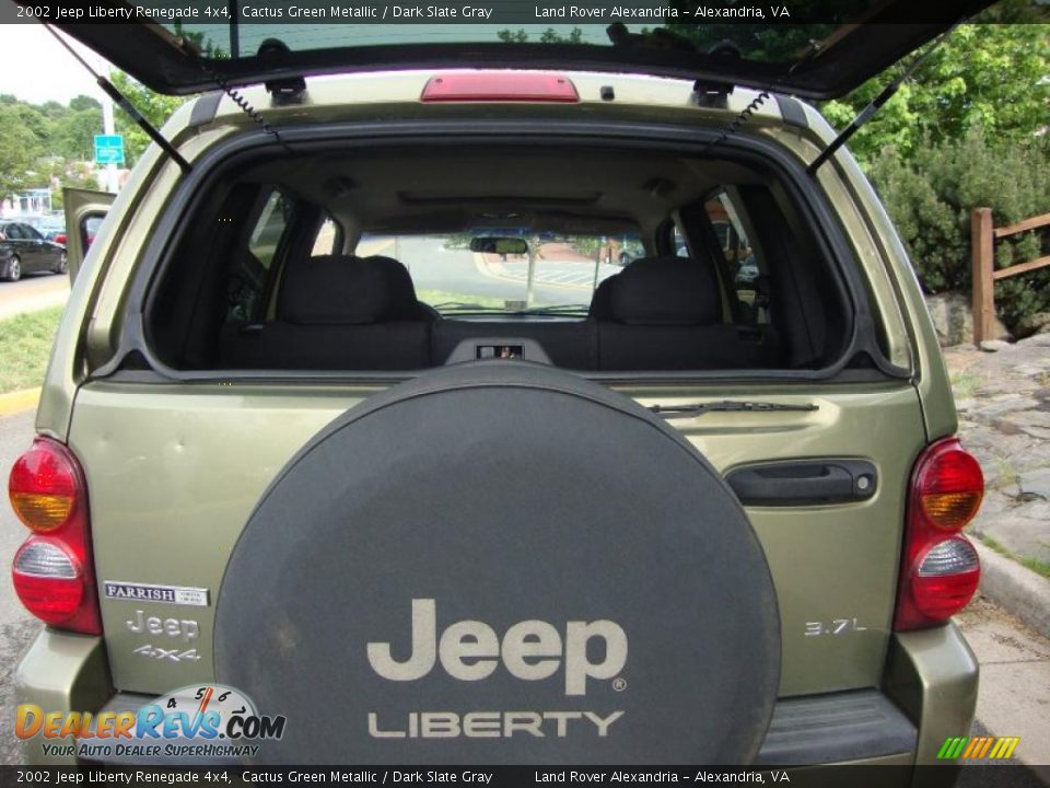 2002 Jeep Liberty Renegade 4x4 Cactus Green Metallic / Dark Slate Gray Photo #5