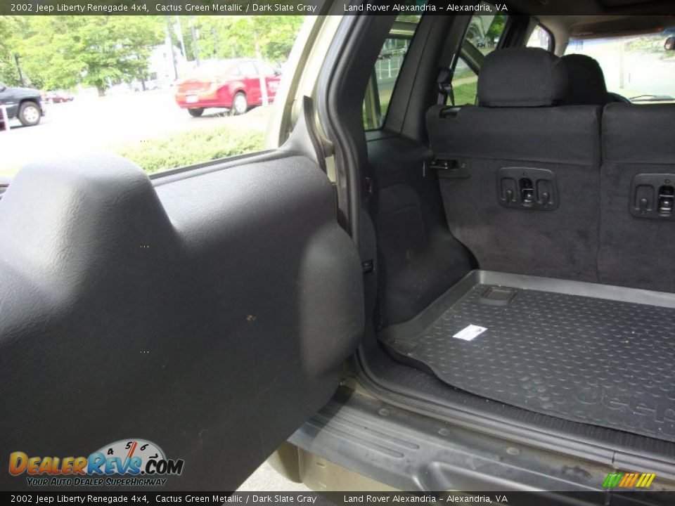 2002 Jeep Liberty Renegade 4x4 Cactus Green Metallic / Dark Slate Gray Photo #6
