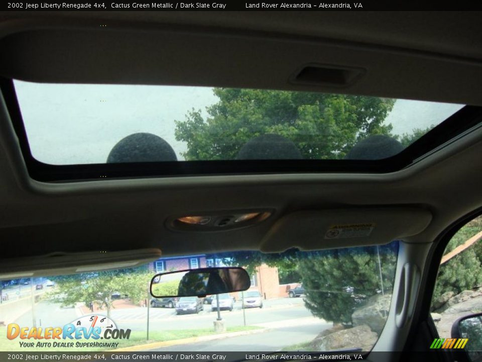 2002 Jeep Liberty Renegade 4x4 Cactus Green Metallic / Dark Slate Gray Photo #14
