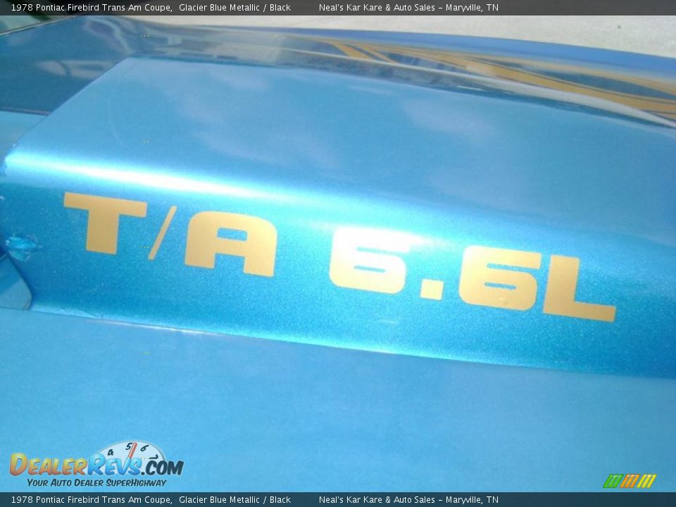 1978 Pontiac Firebird Trans Am Coupe Logo Photo #2